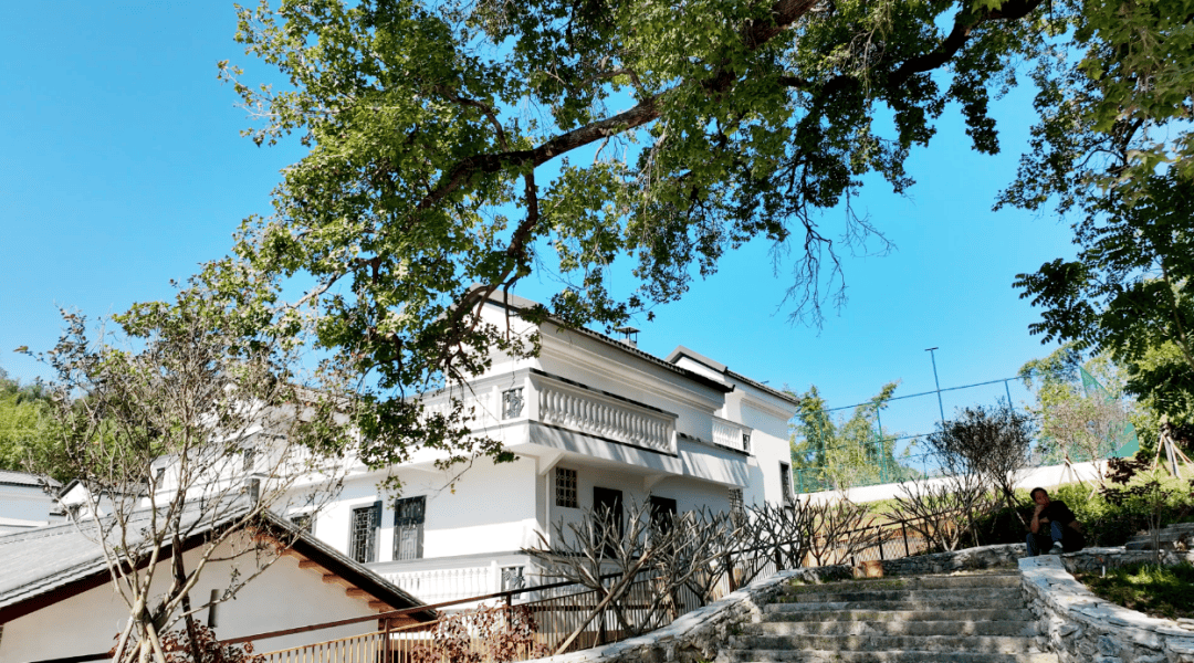 一批典型镇村运营项目集中开业pg试玩打卡地图上新！肇庆(图3)