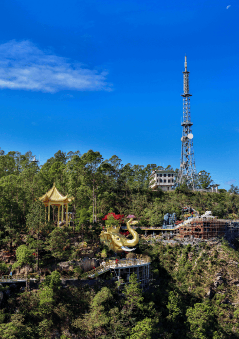 一批典型镇村运营项目集中开业pg试玩打卡地图上新！肇庆(图11)